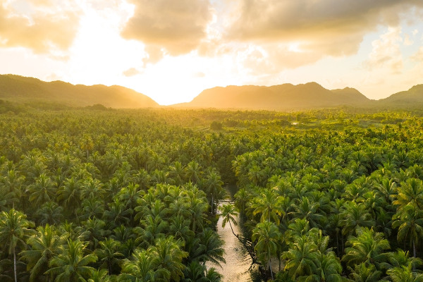 Rio Amazonas correndo pela Floresta Amazônica enquanto o Sol se põe no contexto do clima equatorial, o clima da região Norte. Rio Amazonas correndo pela Floresta Amazônica enquanto o Sol se põe no contexto do clima equatorial, o clima da região Norte.